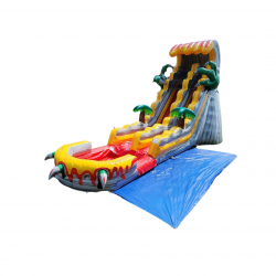 20230718 215615 0000 1689733108 T-REX 19ft Slide