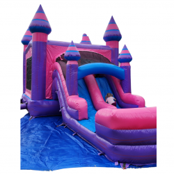 3 1700079622 Princess Party Packages