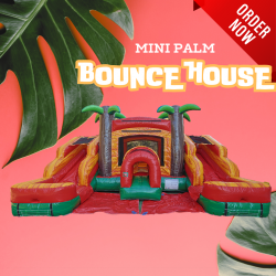 Mini Palm Bounce House with Dual Slides