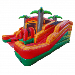 tropical20oasis20mini20dual20combo3 1716693943 Mini Palm Bounce House with Dual Slides