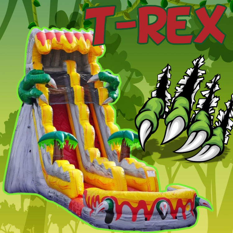 T-REX 19ft Slide