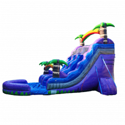 4 1729016442 Princess Party Packages