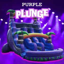 Purple Plunge Dual Lane Water Slide | 20 ft