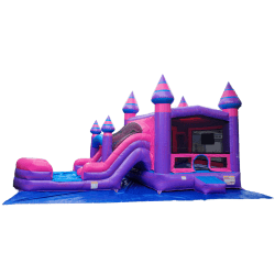 Purplish20120with20w20outline 1737317469 Princess Party Packages