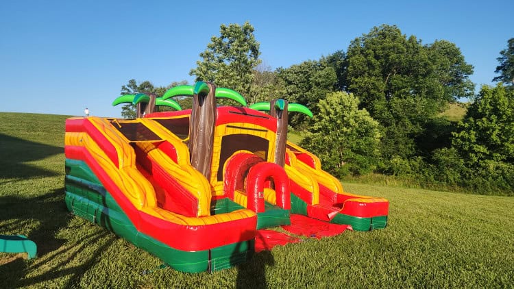 Bounce house rental for toddlers - Mini Palm dual slide bounce house in Richmond, KY