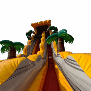 T-Rex water slide rental in Lancaster KY